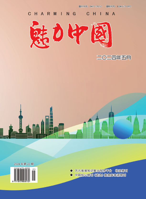 魅力中国