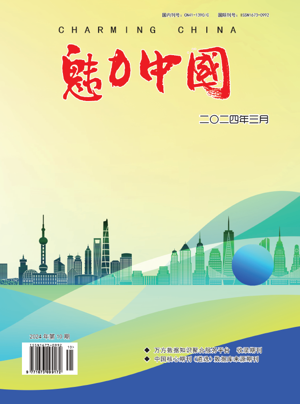 魅力中国