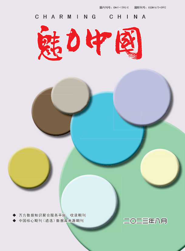 魅力中国