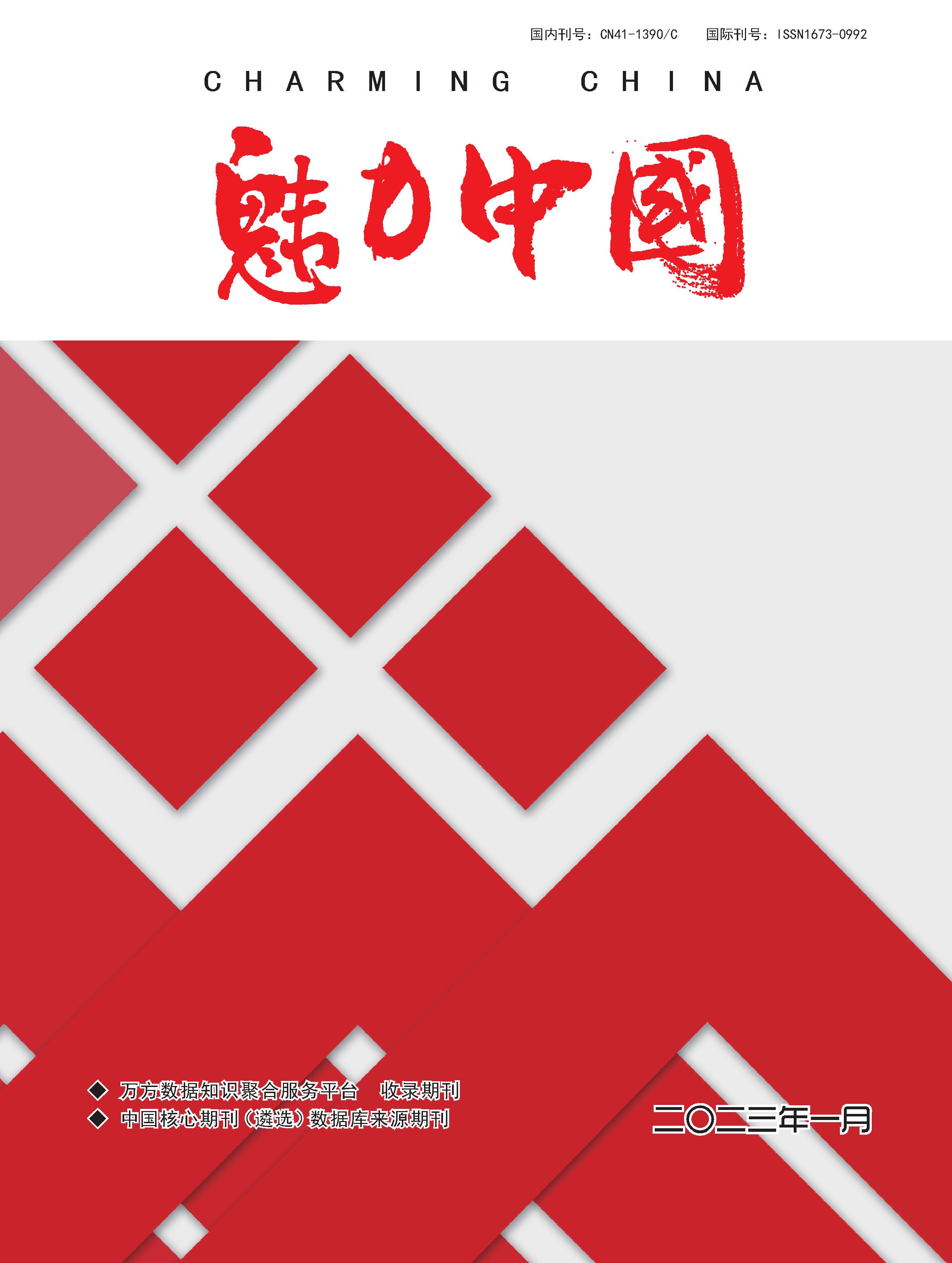 魅力中国