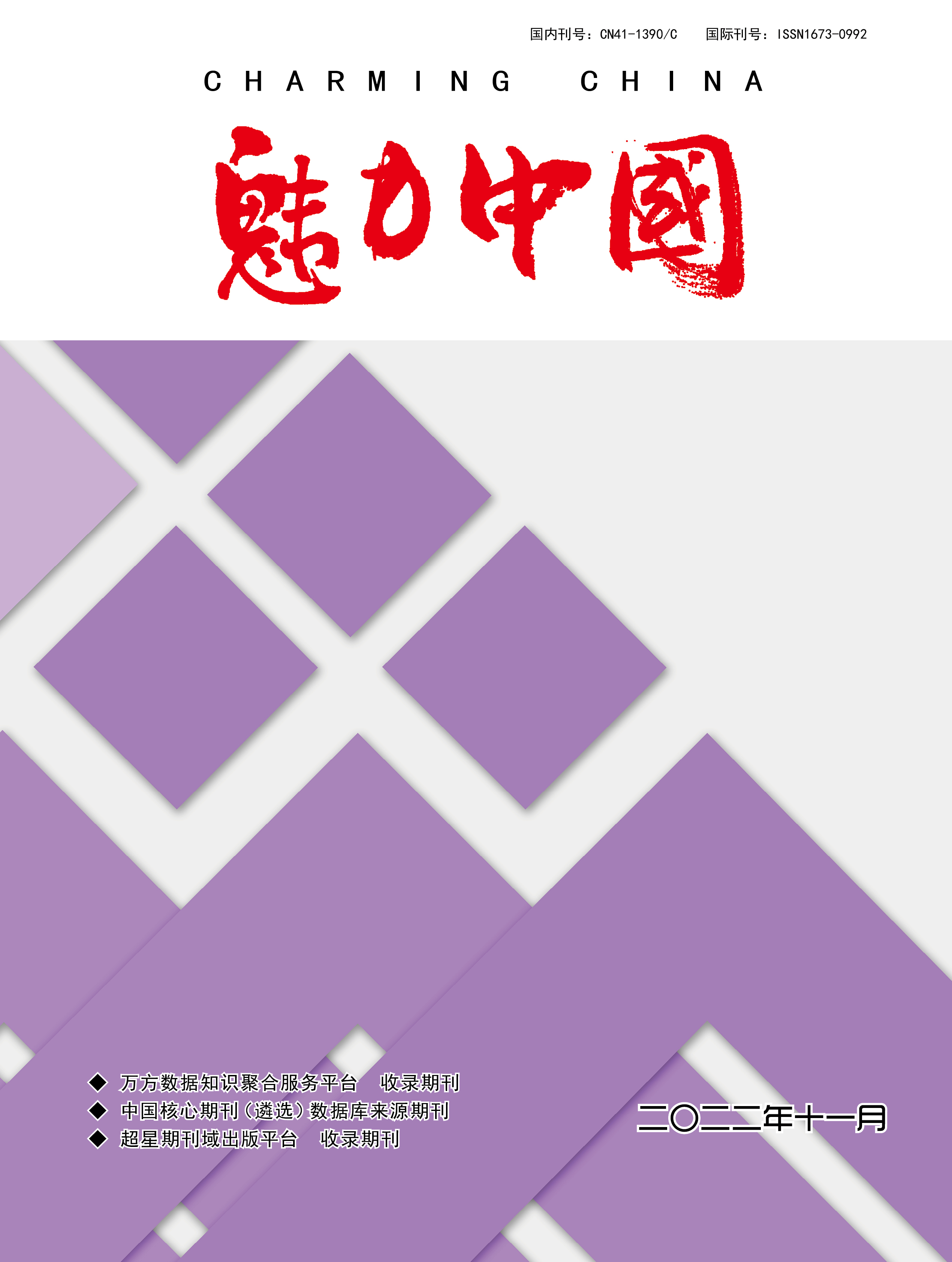 魅力中国