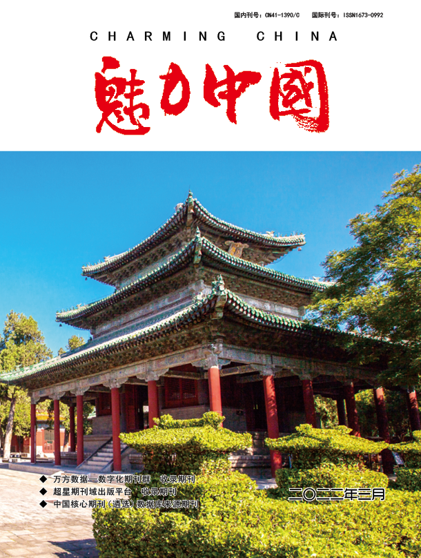 魅力中国