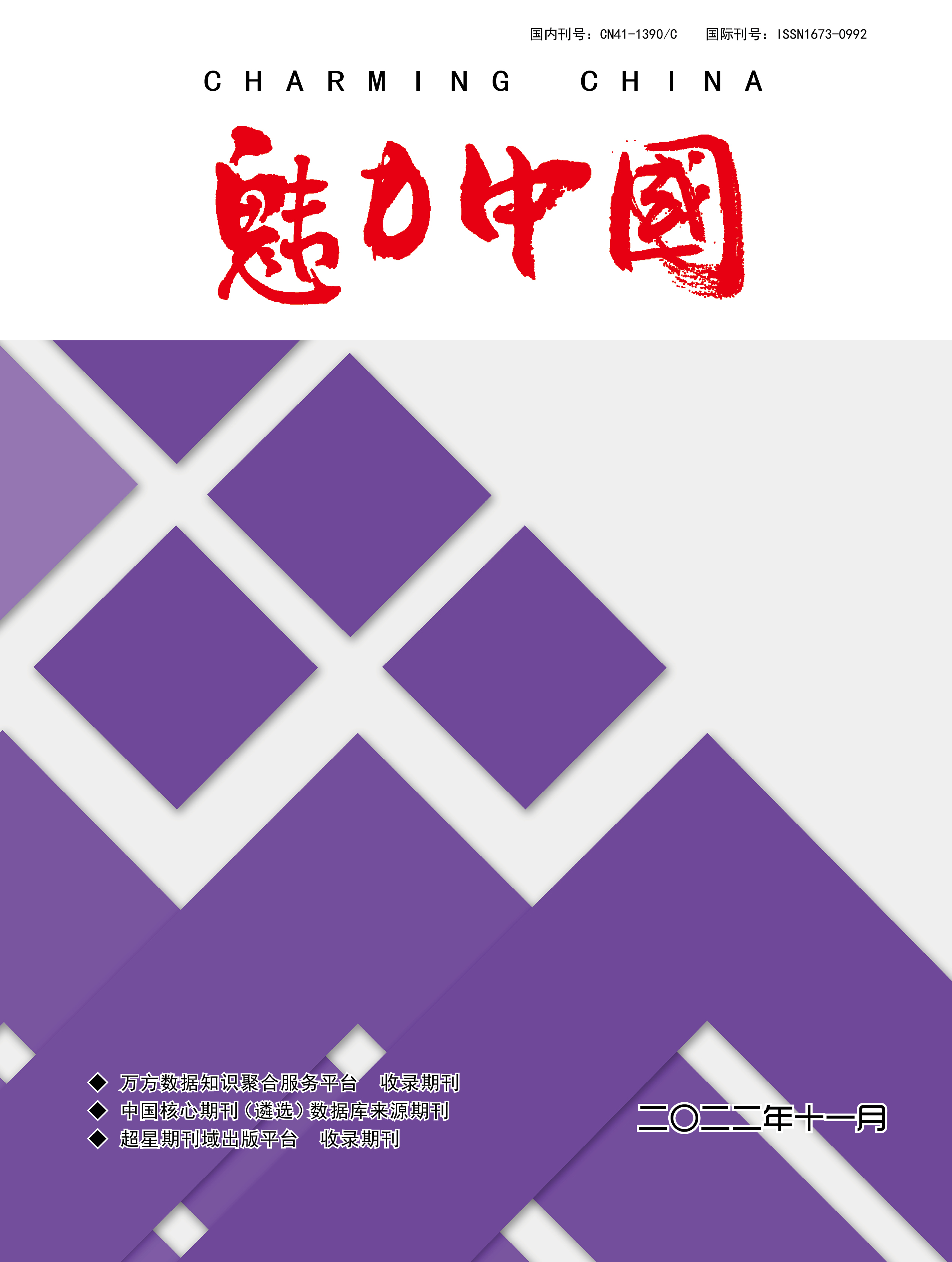 魅力中国