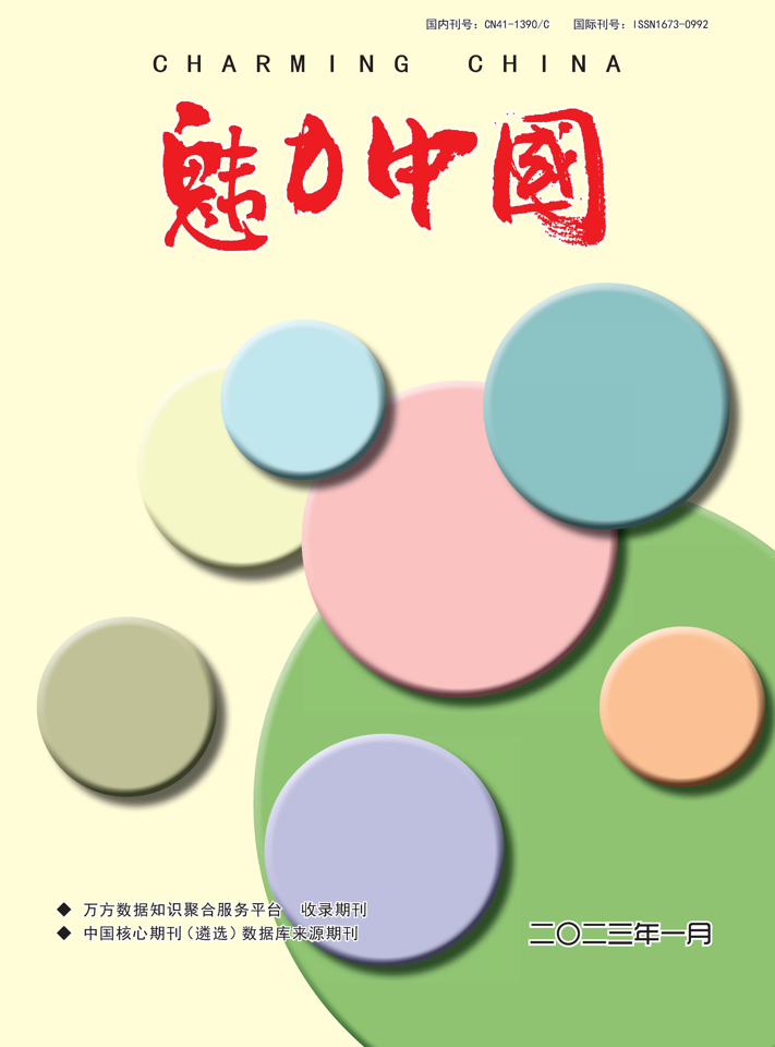 魅力中国