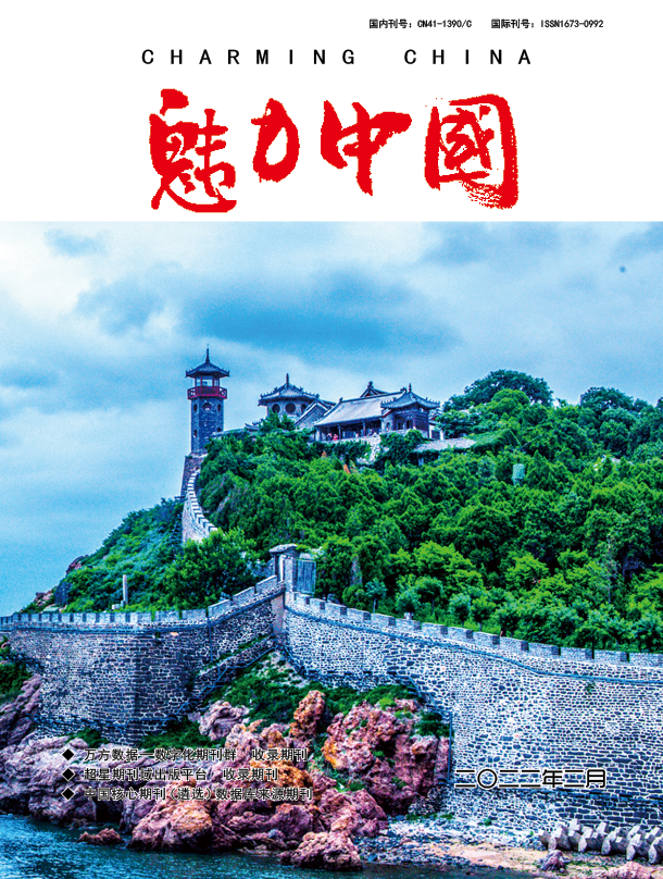 魅力中国