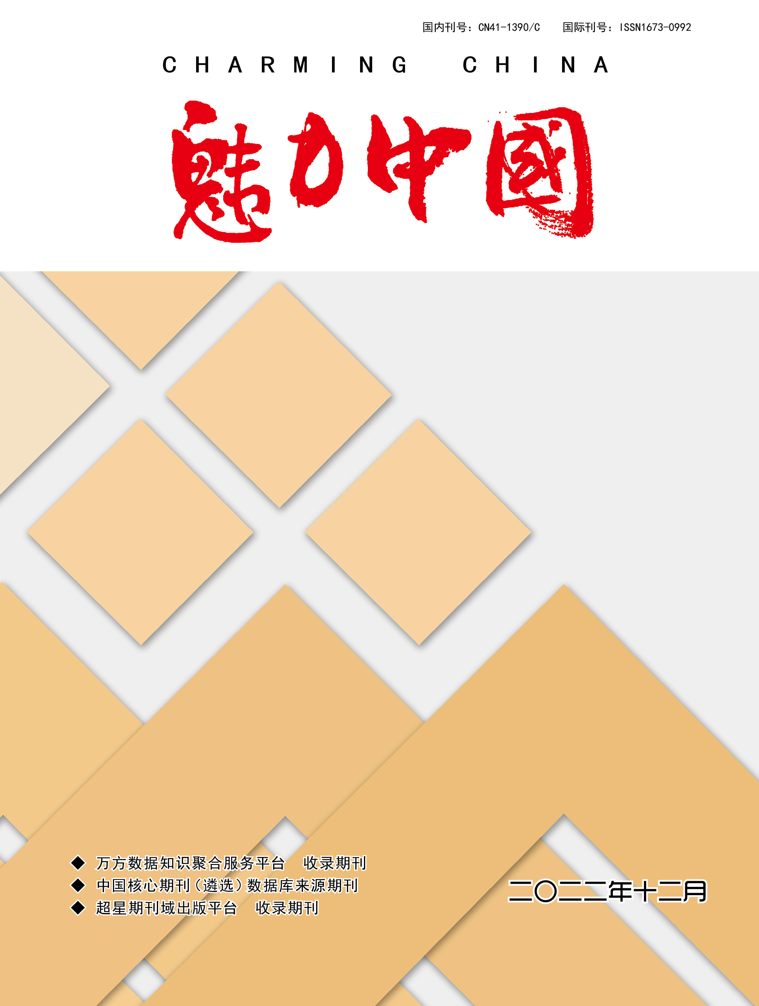 魅力中国