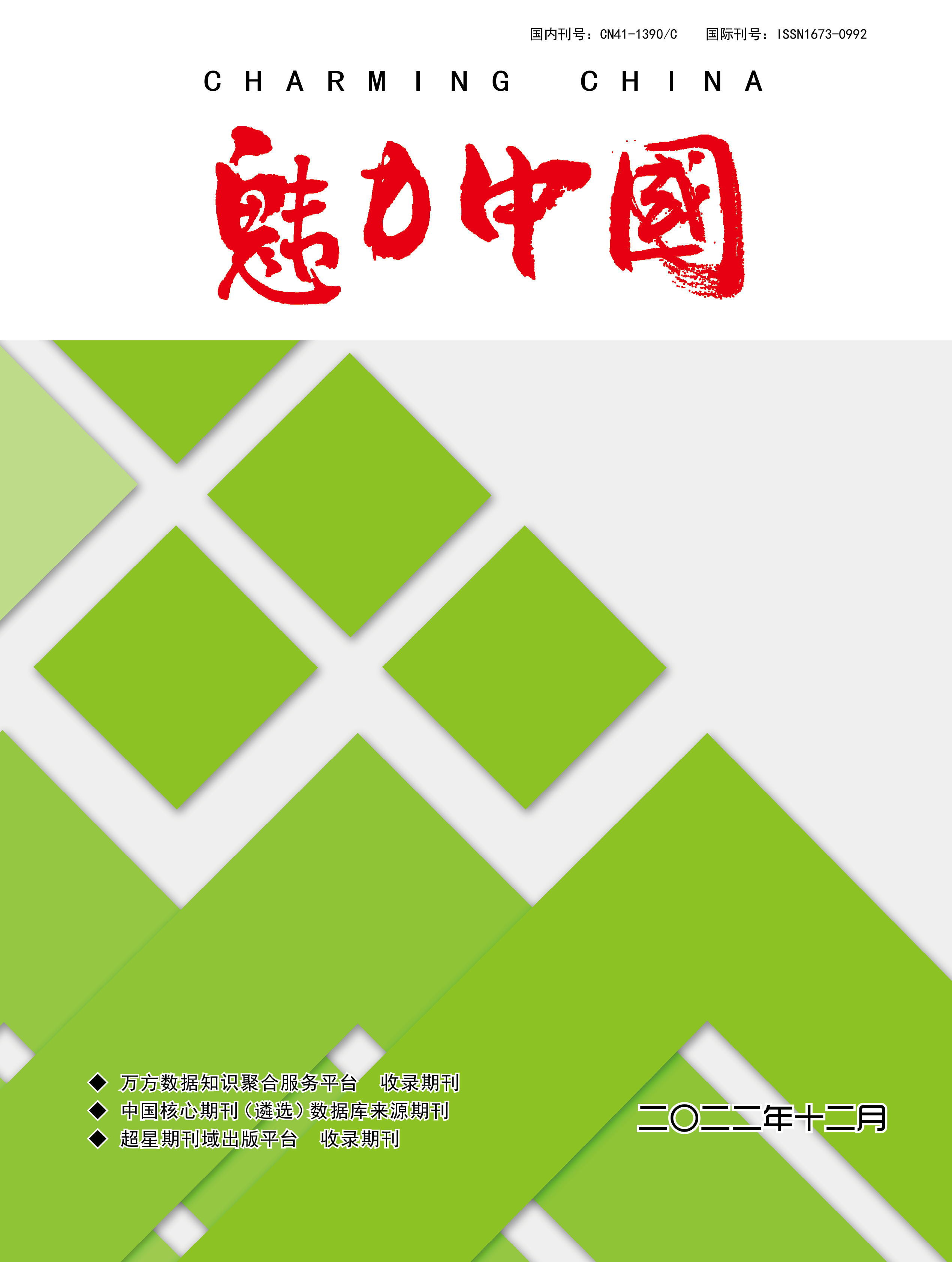 魅力中国