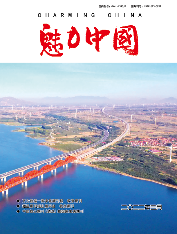 魅力中国