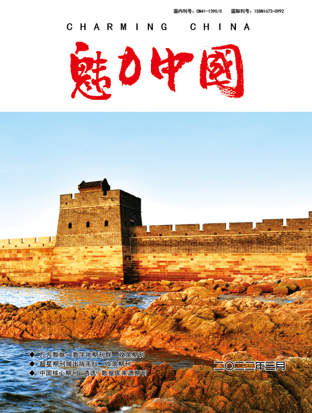 魅力中国