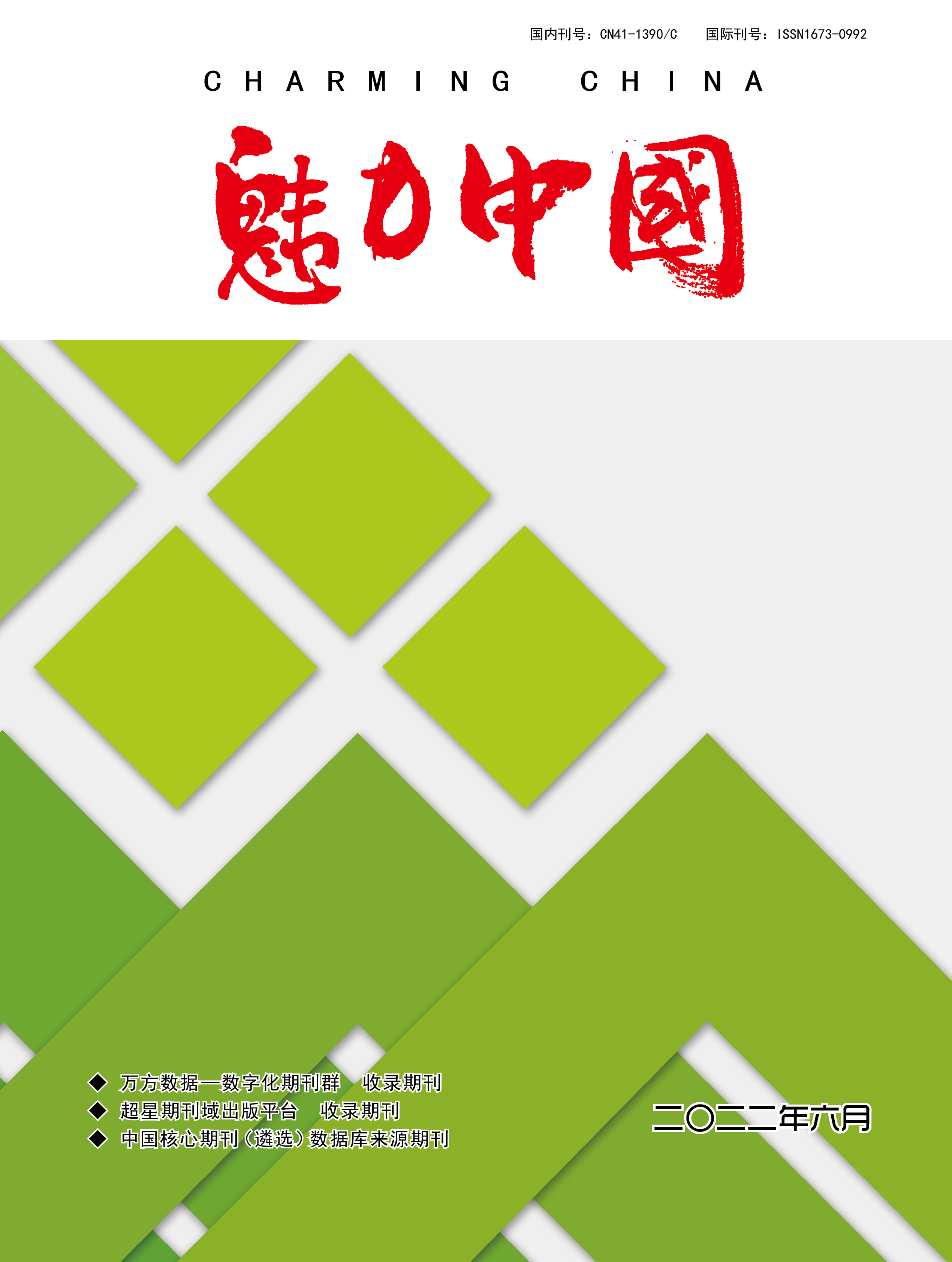魅力中国