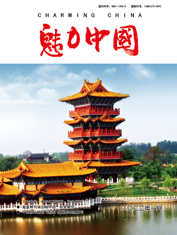 魅力中国