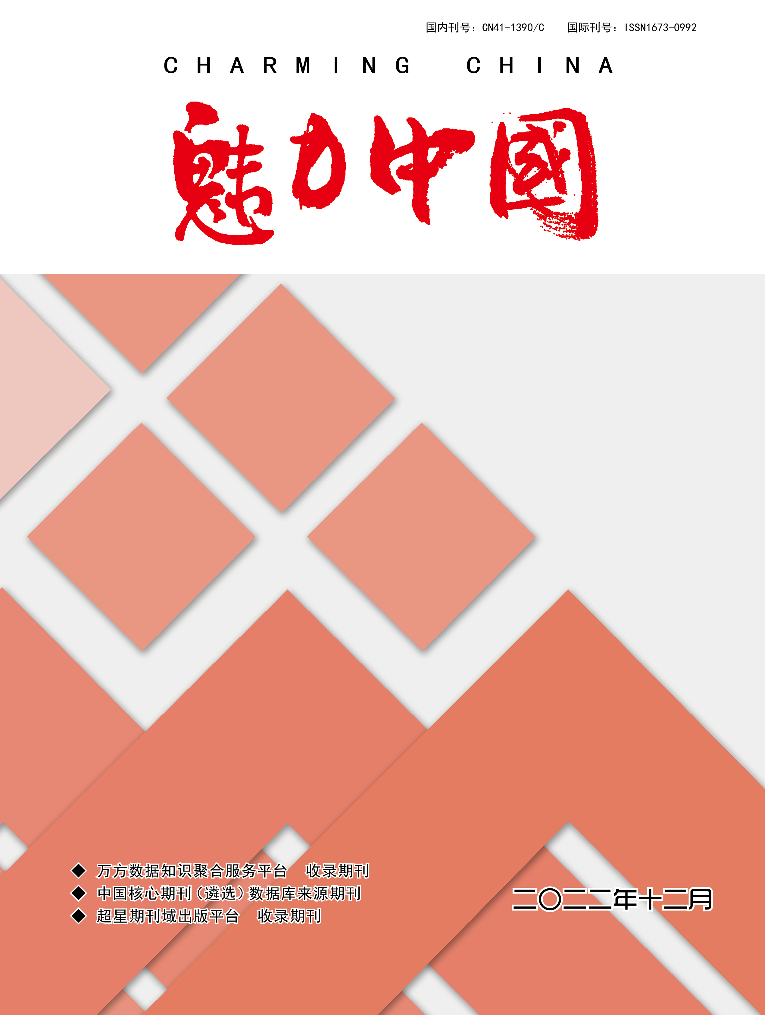 魅力中国