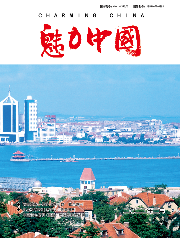 魅力中国