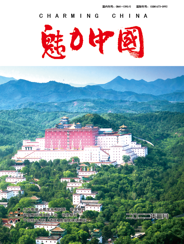魅力中国