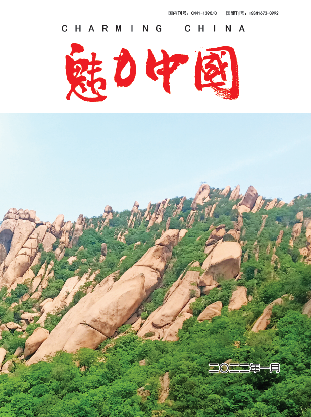 魅力中国
